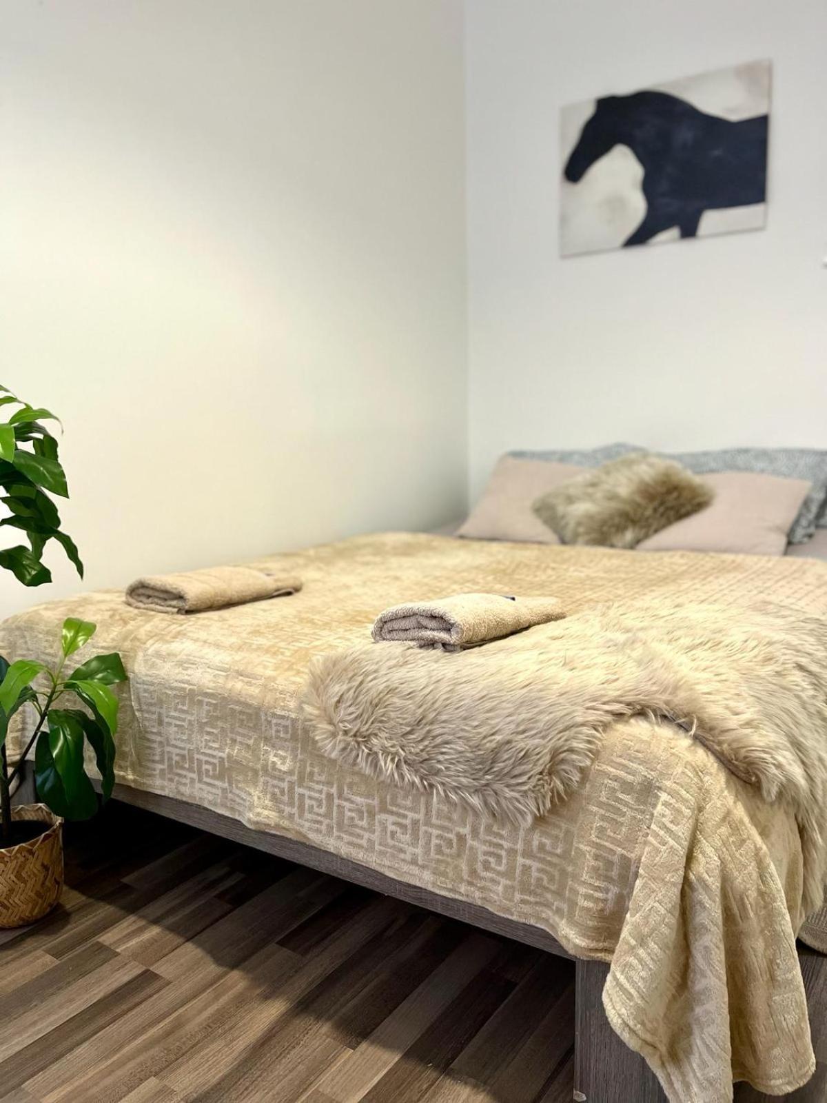 Apartment Adele - Old Town Bratislava Dış mekan fotoğraf